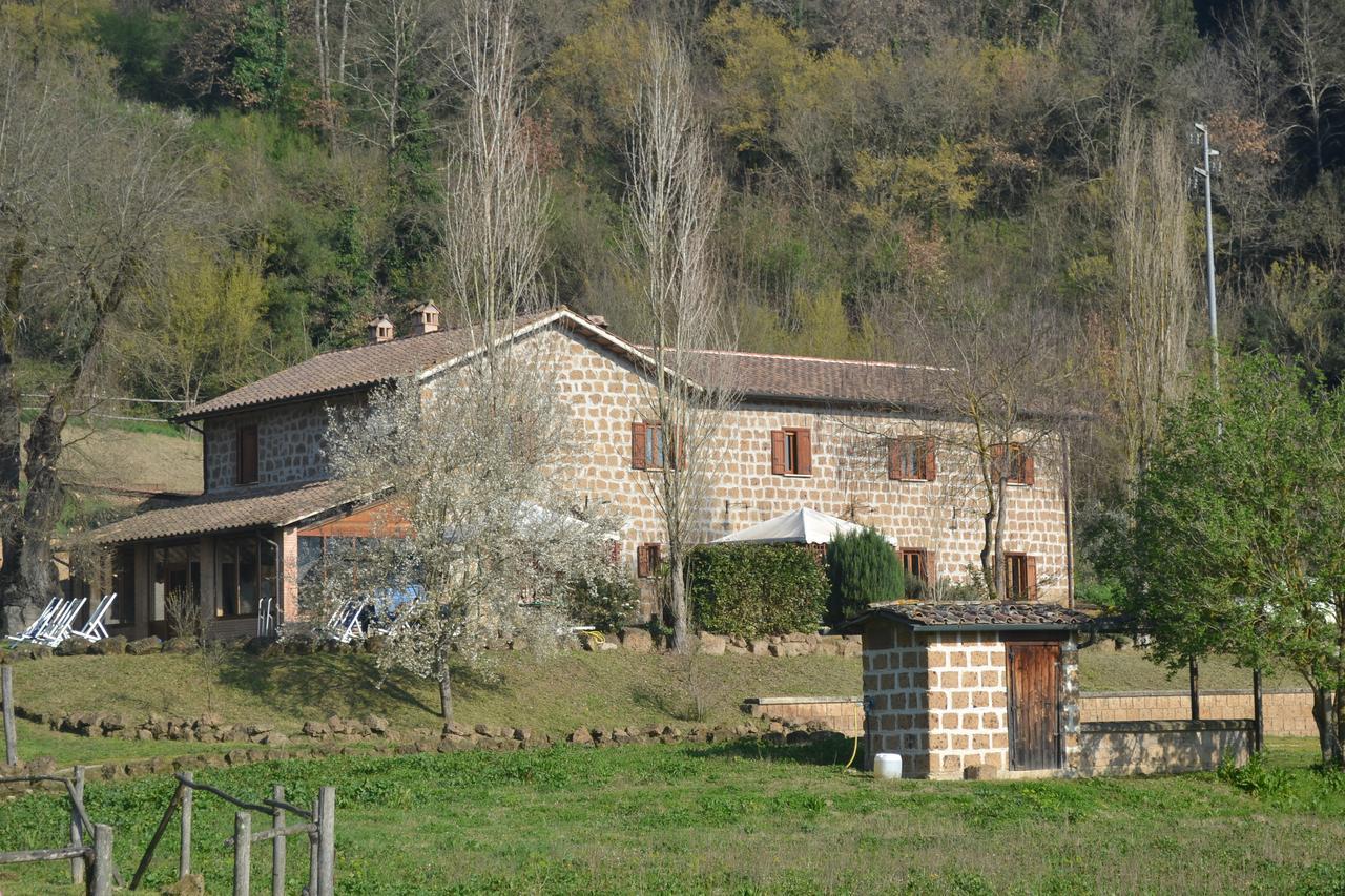Agriturismo Le Forre Del Treja Чивита Кастелана Екстериор снимка