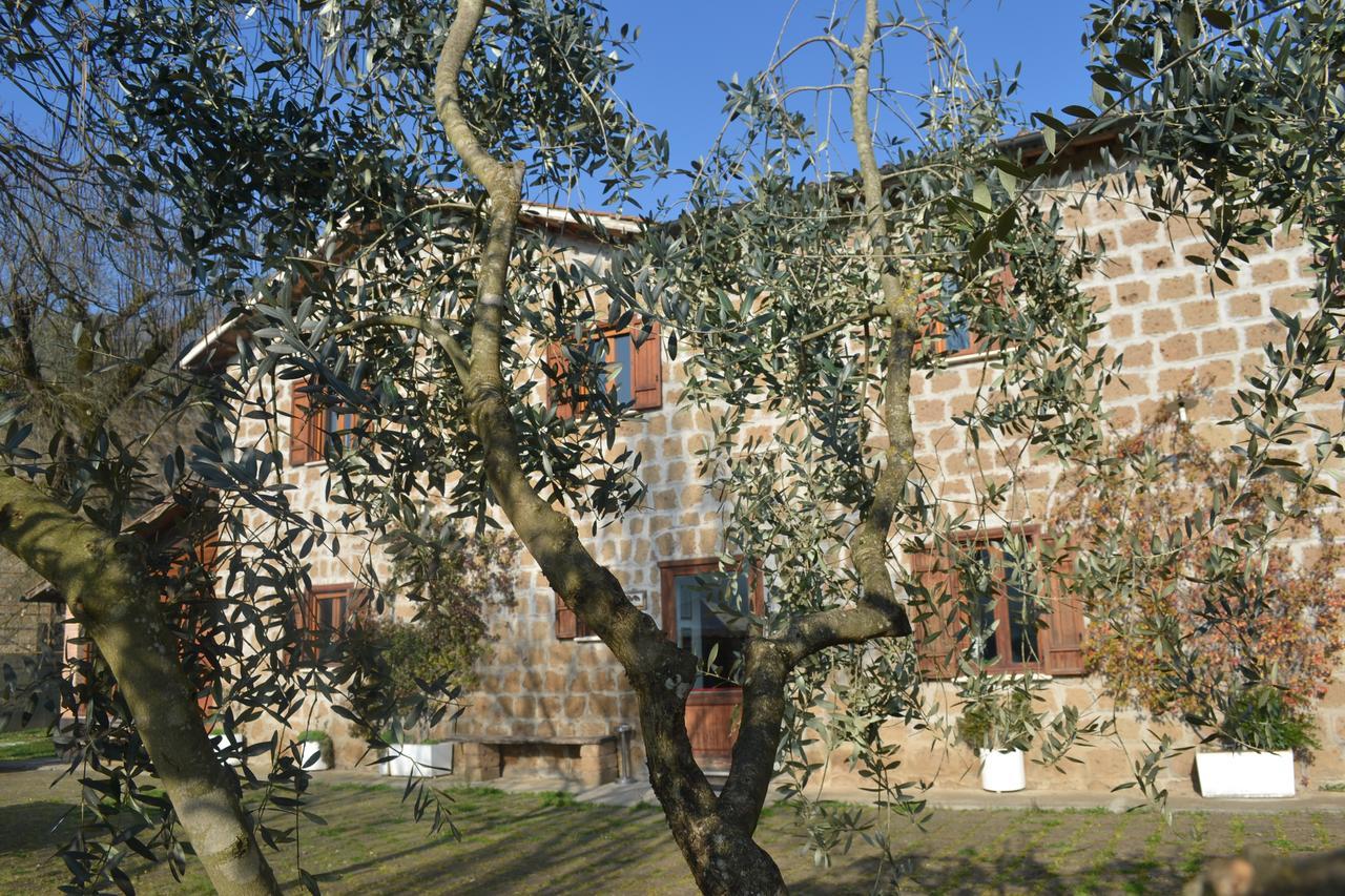 Agriturismo Le Forre Del Treja Чивита Кастелана Екстериор снимка
