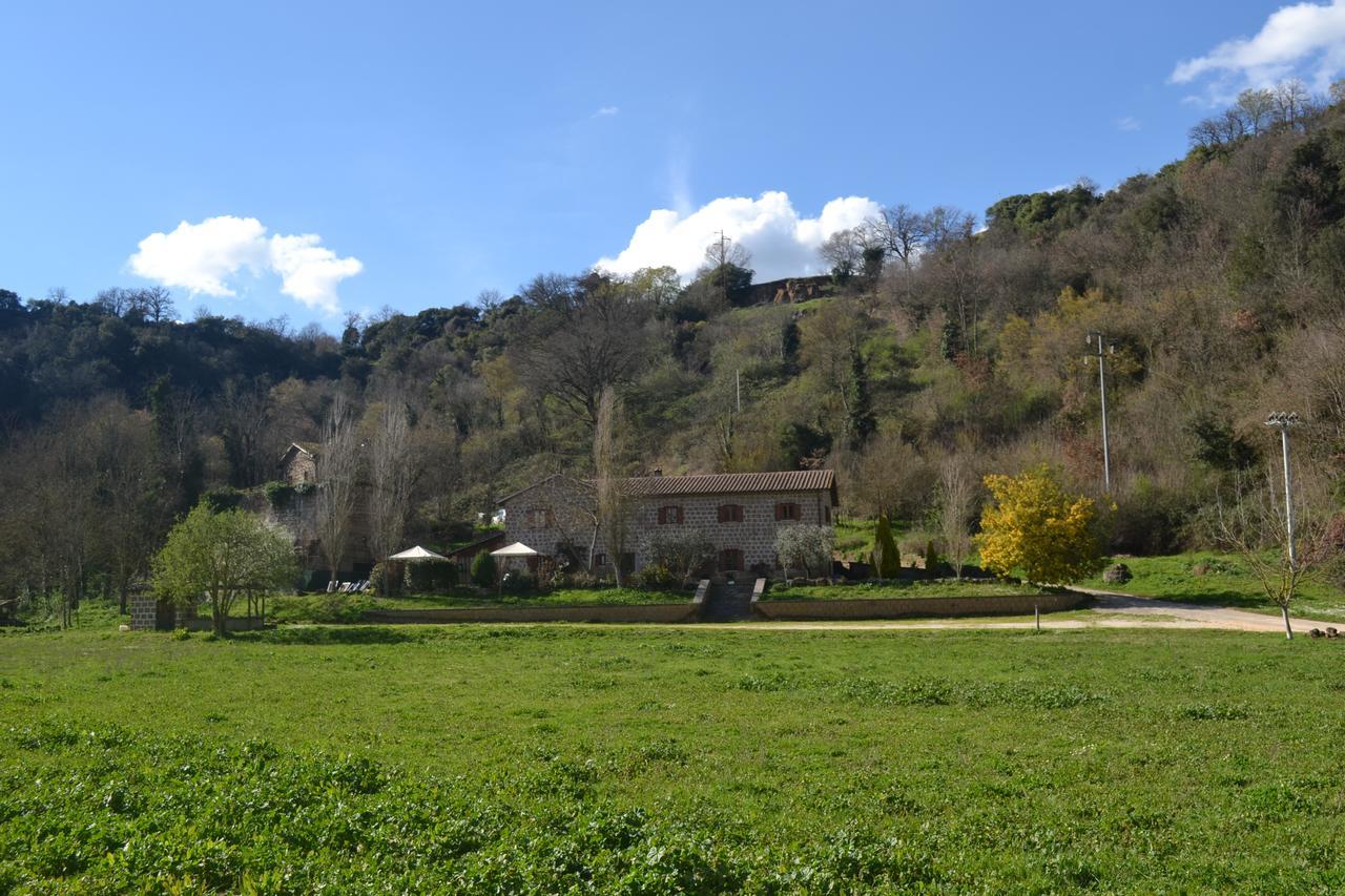 Agriturismo Le Forre Del Treja Чивита Кастелана Екстериор снимка